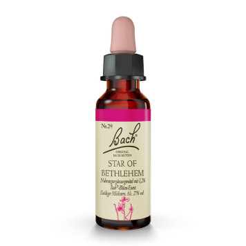 Bachblüten Star of Bethlehem Tropfen