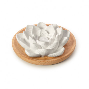 Aroma Duftstein Lotusblüte