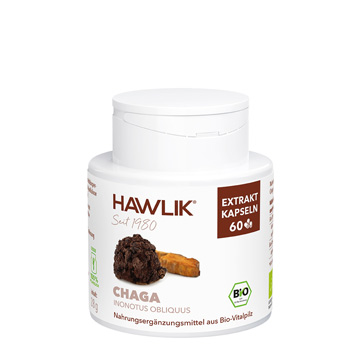 Bio Chaga Extrakt Kapseln