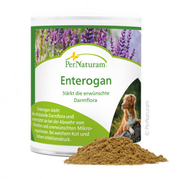 Enterogan für Hunde